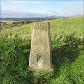 Image for O.S. Triangulation Pillar - Dalginch, Markinch, Fife