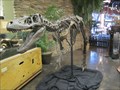 Image for Nanotyrannus Dinosaur - Lehi Utah
