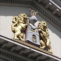 Image for Lions of Wangenheimpalais
