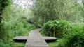 Image for Wooden walkway, nature reserve Branston,  Lincolnshire, England.