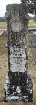 Image for Alonzo E Watson - Liberty Cemetery - Pansey, AL