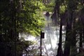Image for Radium Springs Walking Trail and Arboretum - Albany, GA
