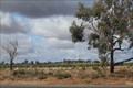 Image for Weather radar - Cullulleraine, Vic , Australia