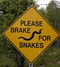 Image for Please Brake for Snakes