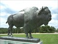 Image for Pioneer Park Buffalo, Lincoln Nebraska