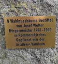 Image for Gestiftete Walnussbäume in Vanikum-Rommerskirchen, NRW [GER]