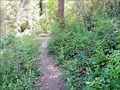 Image for Webster Road Trail - Fruitvale, BC