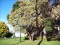 Image for Trees for Foulkes - Mangere Bridge, Auckland, New Zealand