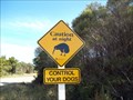 Image for Watch out for the Kiwi! - Northland, New Zealand