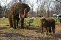 Image for St. Louis Zoo Animal Topiaries - St. Louis MO