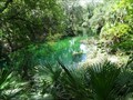 Image for ORIGIN - Blue Spring Run - Orange City, Florida, USA