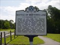 Image for Battle of Britton's Lane - Denmark TN