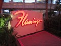 Image for Flamingo - Las Vegas, NV