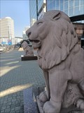 Image for Europlex lions - Warsaw, Poland
