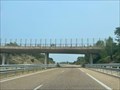 Image for Puente fauna salvaje A-52 km 64 - Cernadilla, Zamora, España