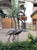 Image for Flamingos  - Vail, CO