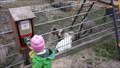 Image for Feed the goats - Cafe Pauli - Aschau im Chiemgau, Lk Rosenheim, Bavaria, Germany