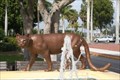 Image for "The Florida Panther"-Fort Myers, FL