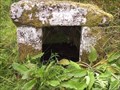 Image for Fice's Well, near Princetown, Dartmoor UK