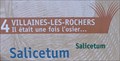 Image for Le salicetum - villaines les rochers - France