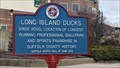 Image for Long Island Ducks