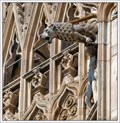 Image for Gargoyles of the Duomo di Milano (Milan Cathedral), Milan, Italy