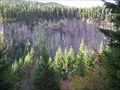 Image for Palisades View Point, Washington