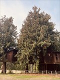 Image for The Treehouse - Sammamish, WA