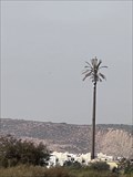 Image for Palm tower - Saïdia, Morocco