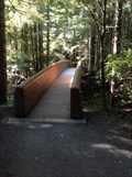 Image for Bridge to Lady Bird Johnson Grove - California