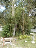 Image for Don Vestal Bench at DeBary Hall - DeBary, FL