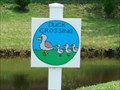 Image for Duck Family Crossing - Mandarin, Florida