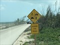 Image for Quad Crossing - Bahia Honda Key, Florida, USA