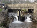 Image for Union Bridge Fish Pass - Marsden, UK