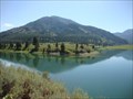 Image for CONFLUENCE - Grays River - Snake River