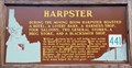 Image for #441 - Harpster