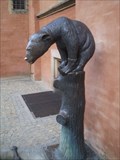Image for Bear at Market square Wroclaw, Poland