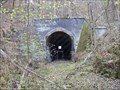 Image for Winston Tunnel 1888-1972 