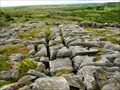 Image for The Burren - Ireland
