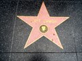 Image for Matt Damon  -  Hollywood, CA