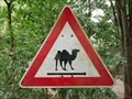 Image for Camels Crossing - Mudenhof Freiburg, Germany, BW