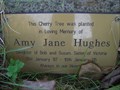 Image for Amy Jane Hughes, Pontfadog Churchyard, Wrexham, Wales, UK