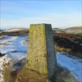 Image for O.S. Triangulation Pillar - Blacklaw Hill, Angus