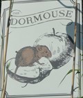 Image for The Dormouse - Clifton, UK