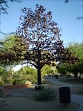 Image for Las Brisas: Tree Ramada - Chandler Arizona