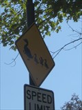 Image for Duck Crossing - San Jose, CA