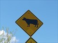 Image for Cattle Crossing - Smith County, TX