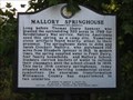 Image for Mallory Springhouse - Williamson County Historical Society