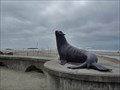 Image for Lincoln City, Oregon: Statue of Joe the Sea Lion