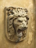 Image for Lion Head at Mariensäule, Linz am Rhein - RLP / Germany